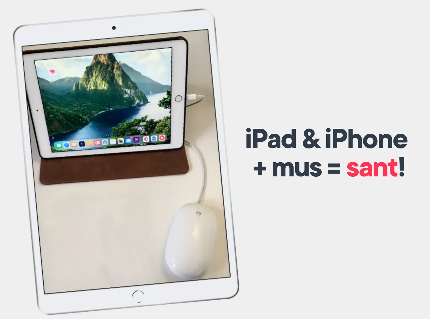 iPad & iPhone + mus = sant!